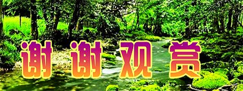 彩绘连环画《逼上梁山》戴敦邦作品