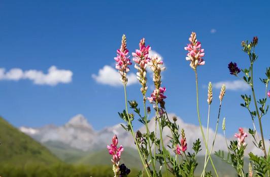 当你一无所有的时候怎么办,当你一无所有的时候谁会帮你