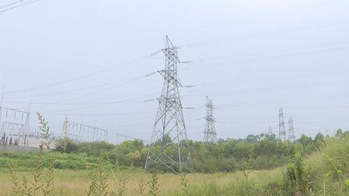 停产一天损失4亿是真的吗,停产停业损失的案例