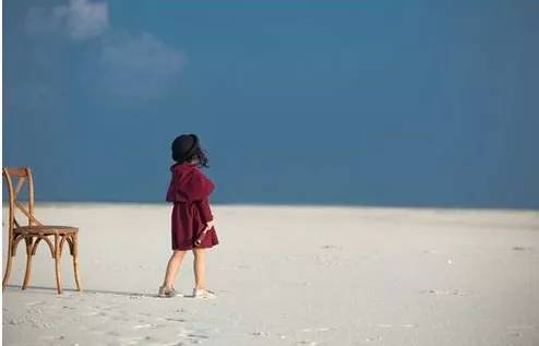 广州值得去的湿地公园,广州湿地公园拍摄