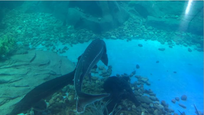 看日出、逗黑熊……从抚远出发穿越“两极”