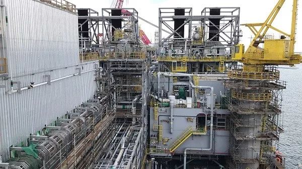 辽宁海边惊现巨型海兽,青岛发现的巨兽