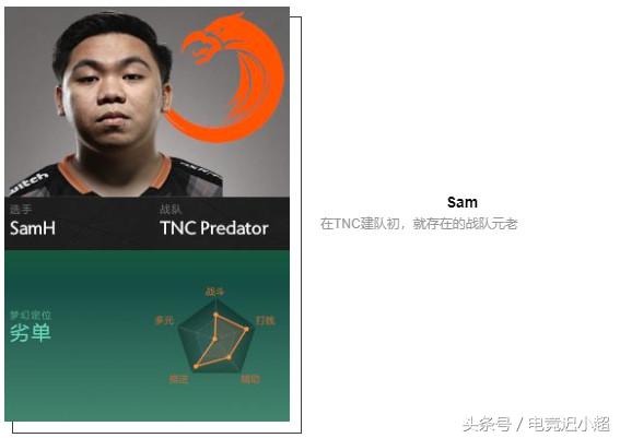 ti8战队阵容,ti8参赛战队