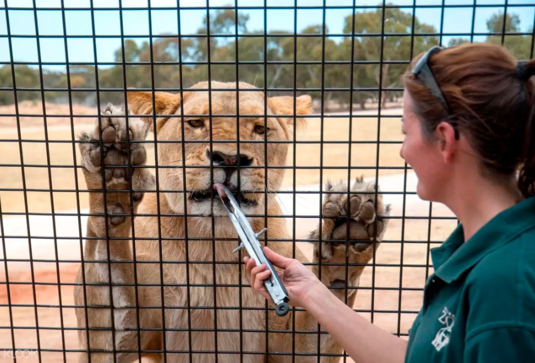 南澳除了美酒美食，还有这些超赞的打卡体验