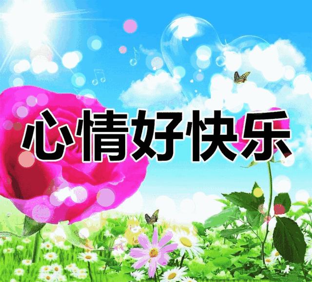 枫林诗苑诗词集,枫林诗苑经典