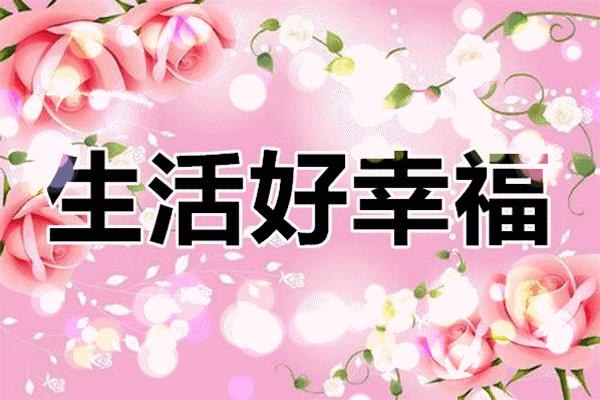 枫林诗苑诗词集,枫林诗苑经典