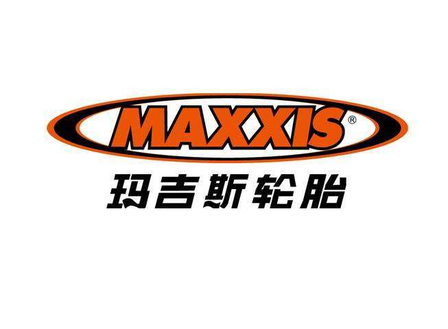 全球轮胎企业排名前十,世界轮胎企业排名前十