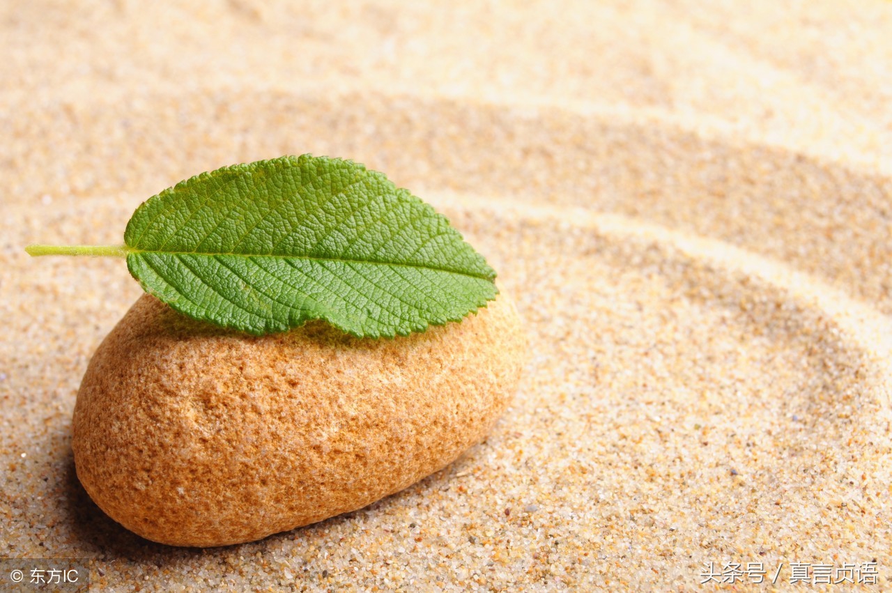 大道至简致良知知行合一,大道至简淳朴自然心得