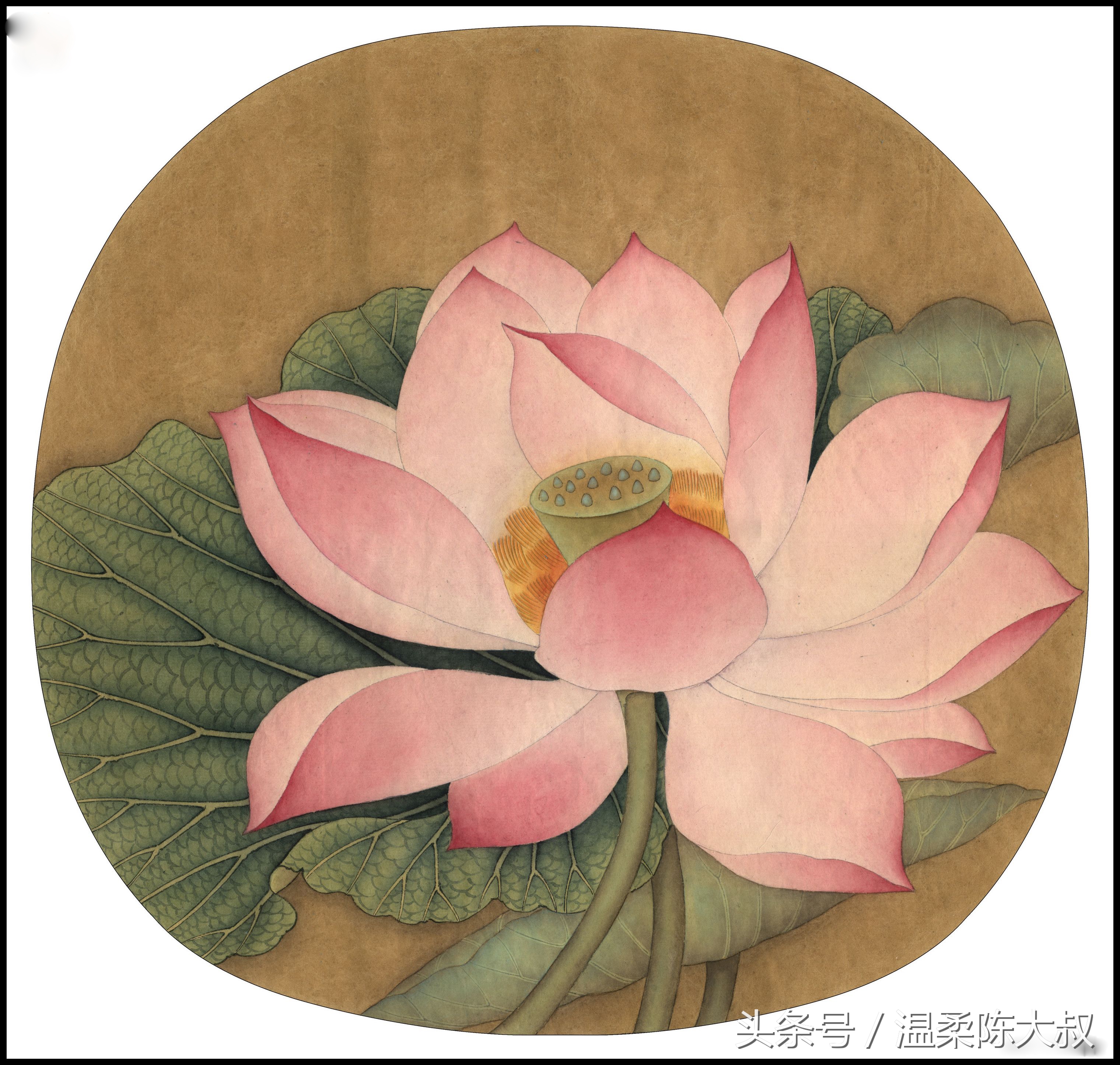宋画出水芙蓉工笔画作画步骤,出水芙蓉图片大全大图工笔花鸟画