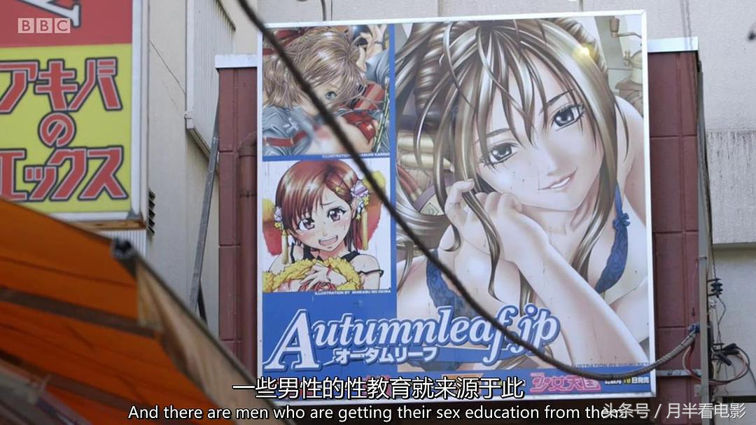 日本之耻纪录片中文,性侵案件日本纪录片