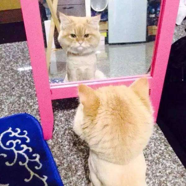 笑笑笑死我了,笑笑笑死人