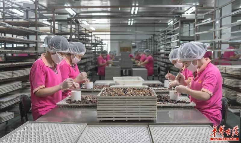 “神奇”槟榔3年热销2亿包，从区域特色到百亿级门类，只因做对这几件事