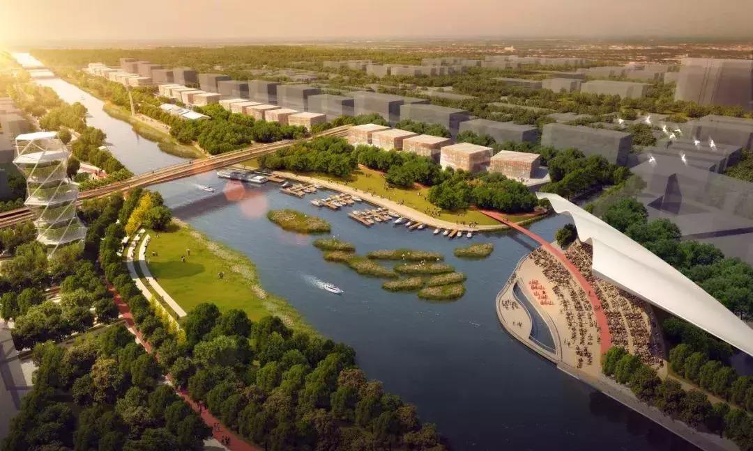 打造700亩湿地公园需要多少钱,国家森林公园奉贤