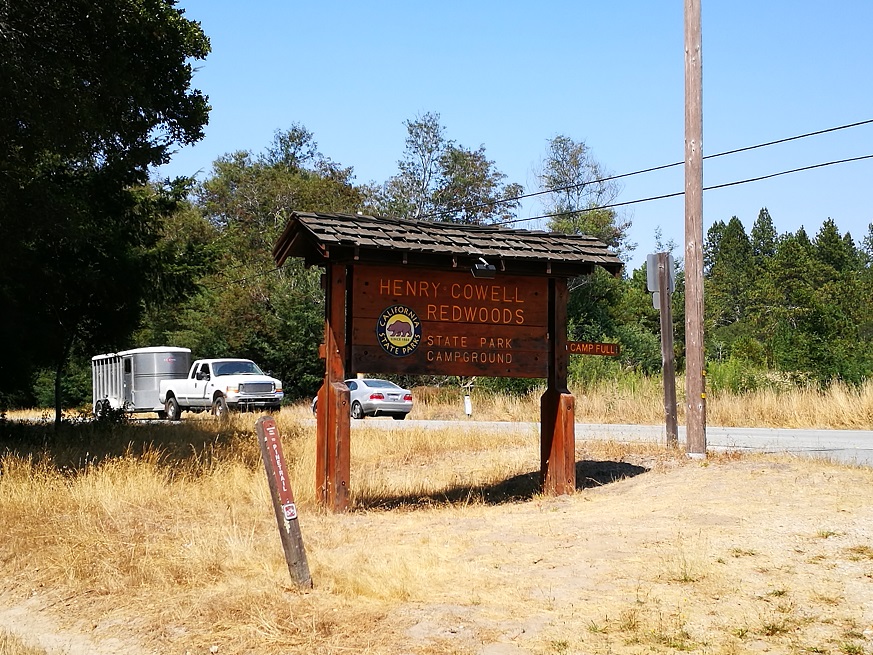 原始森林房车游记,红杉林房车自驾游