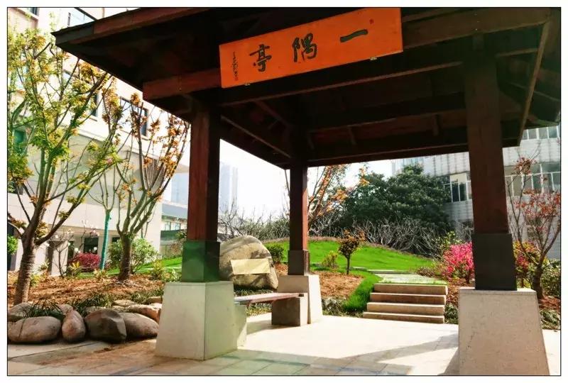 再见合肥师范完整视频,合肥二中校园