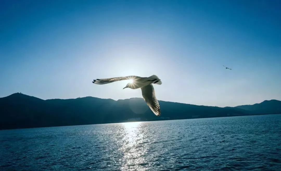 昆明情侣一日游的最佳景点,昆明情侣打卡景点排行榜