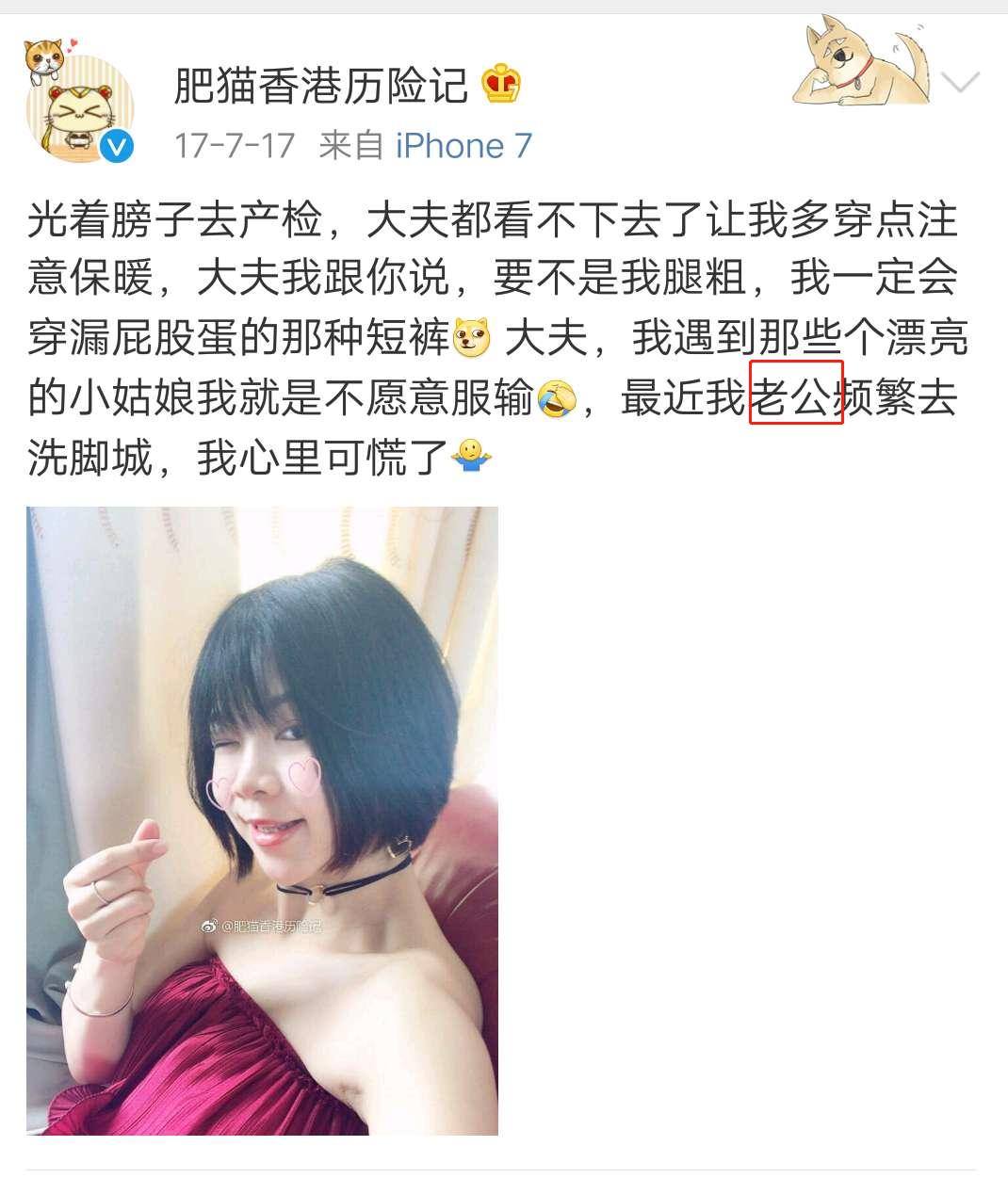 肥猫历险记第二部在线观看,肥猫香港历险记店铺号