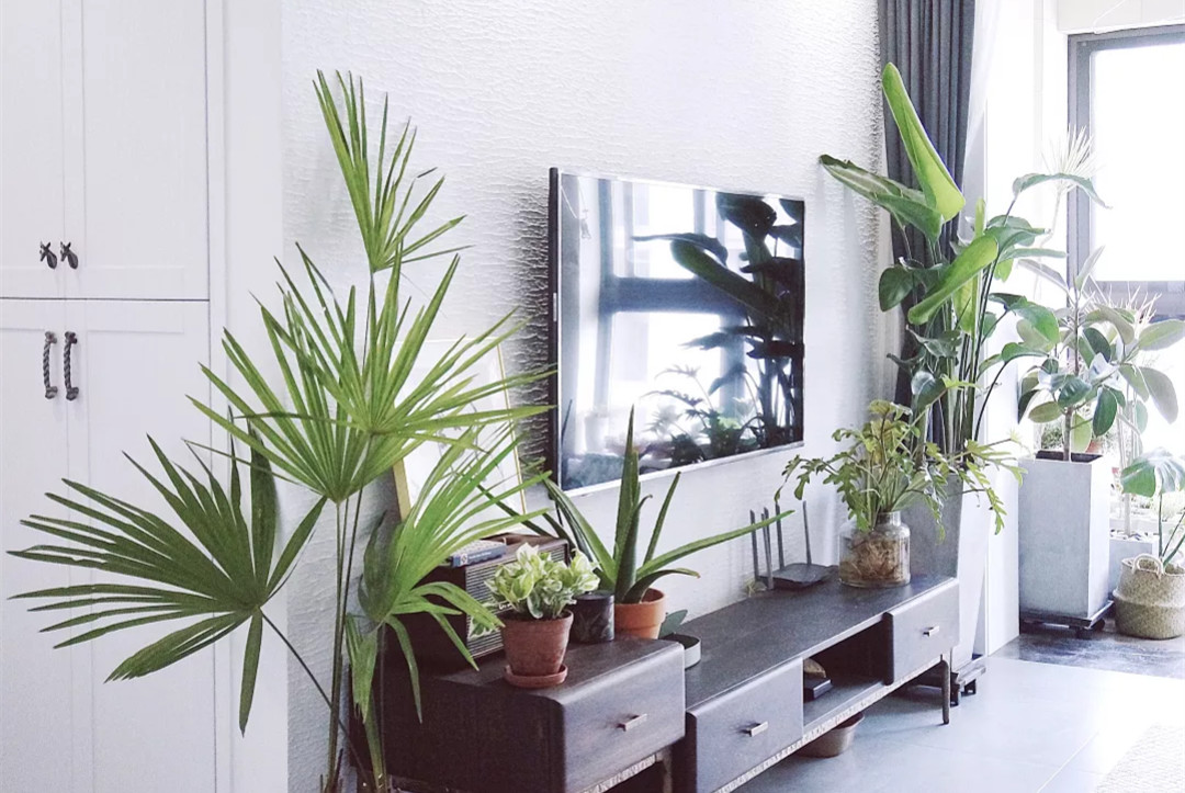 马赛克轻奢家庭装修,小清新北欧风装修