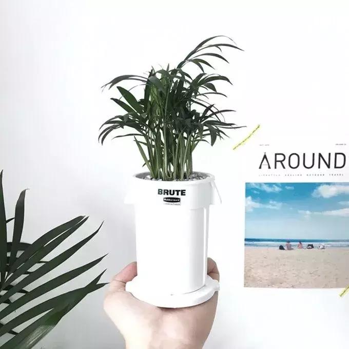 包妈好物图片,包妈母婴好物