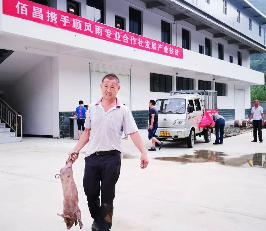 微新闻优秀作品,好风凭借力好雨知时节