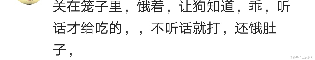 怎么调教泰迪不咬人,泰迪咬人打它可不可以