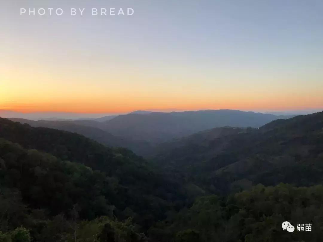 西双版纳四日博物之旅，都有哪些新发现