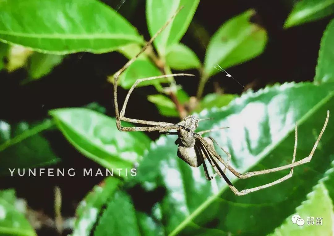 西双版纳四日博物之旅，都有哪些新发现