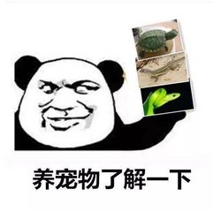 被动物咬了不打疫苗会怎样,被动物咬伤多久打疫苗最佳