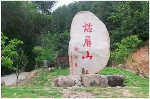 松溪附近打卡网红点,松溪网红打卡