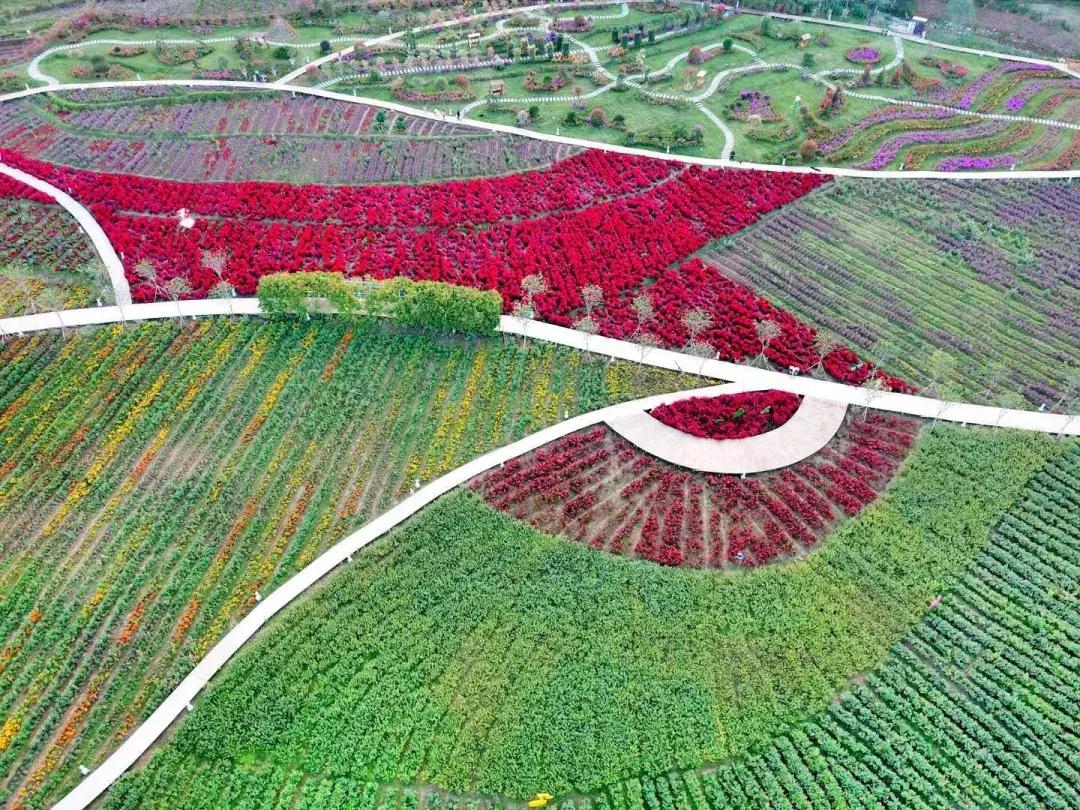 七夕将至，黄姚花海正值赏花期，相约一场简单爱！