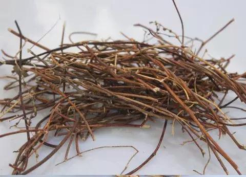 田间常见的野草大全可药用,四种野菜最好吃