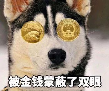 洗衣房人的心酸,洗衣店值得做吗