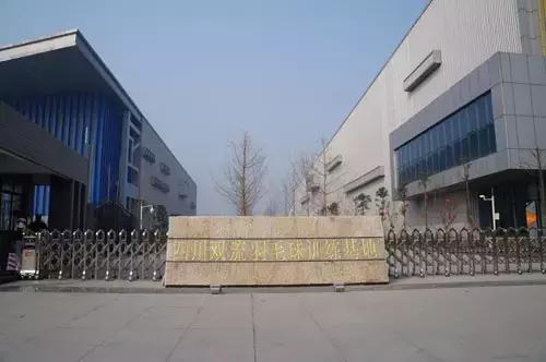 樊振东陈梦打球国乒全员出战,樊振东陈梦成都混合团体世界杯