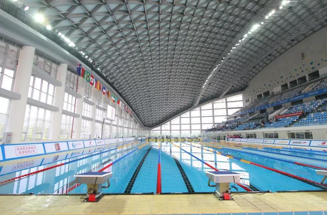 樊振东陈梦打球国乒全员出战,樊振东陈梦成都混合团体世界杯