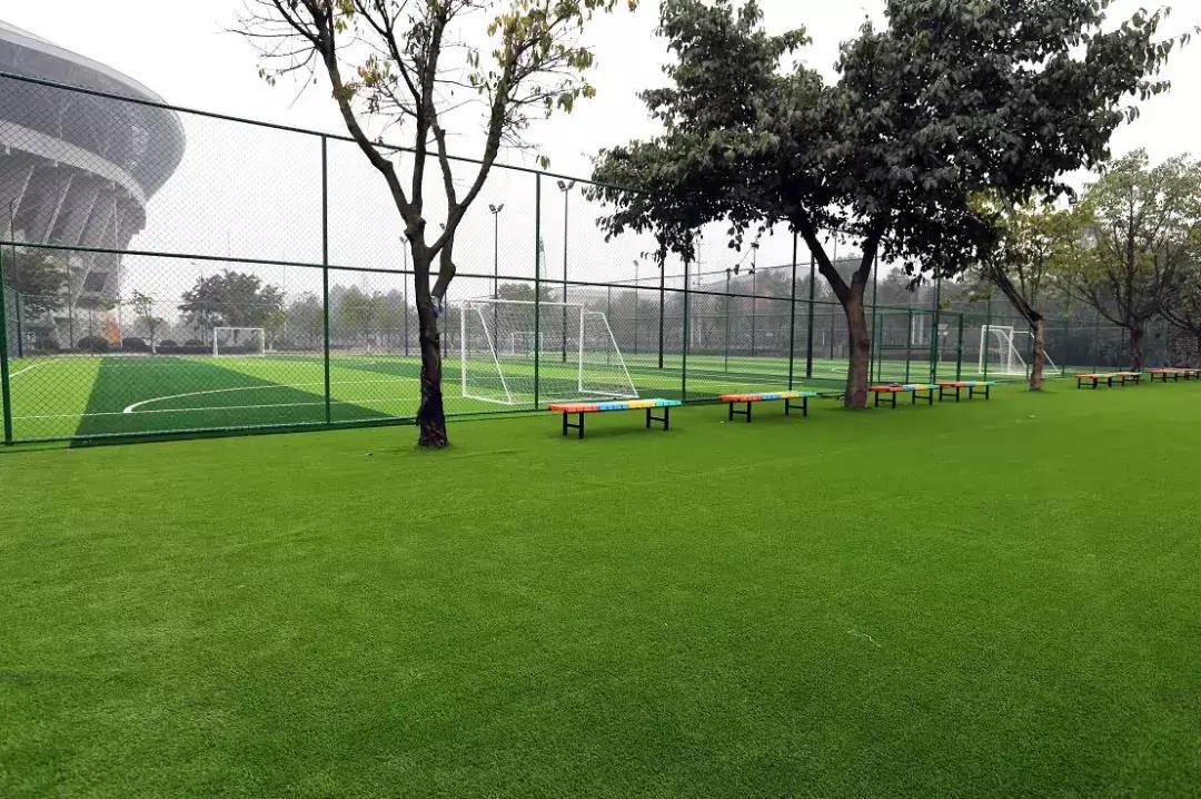 樊振东陈梦打球国乒全员出战,樊振东陈梦成都混合团体世界杯