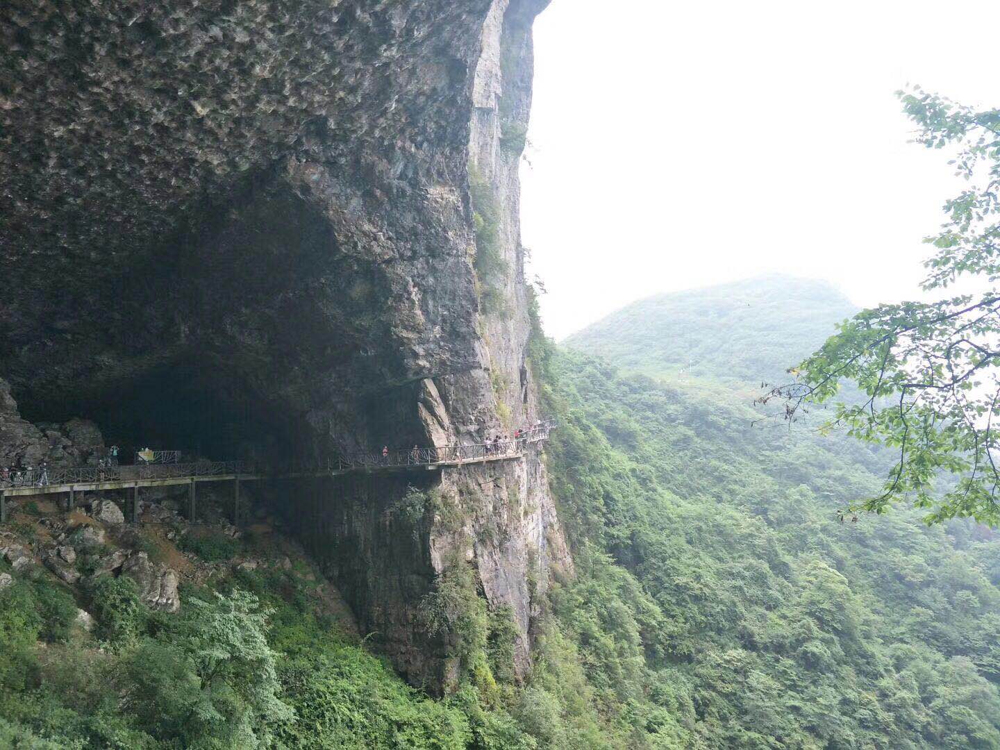 金佛山西坡两日游攻略,金佛山夏季两日游