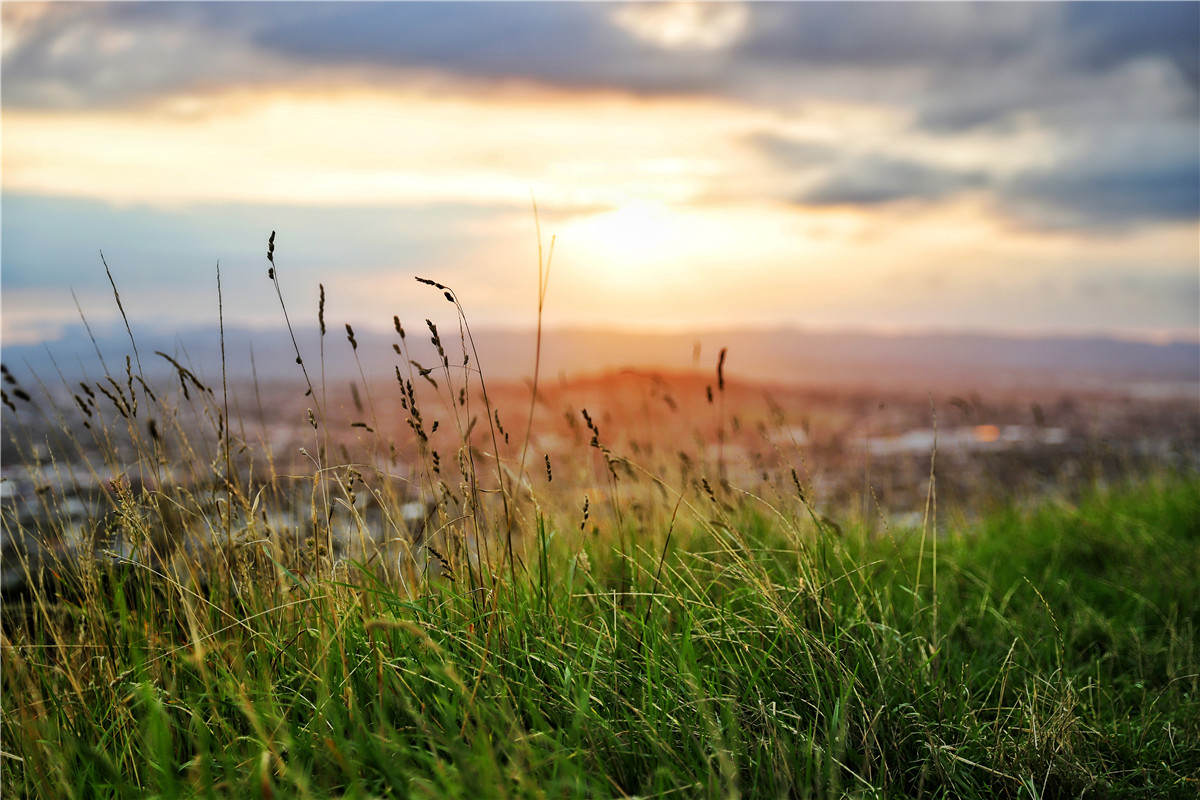 新手入手佳能全画幅6d2,eos6d全画幅