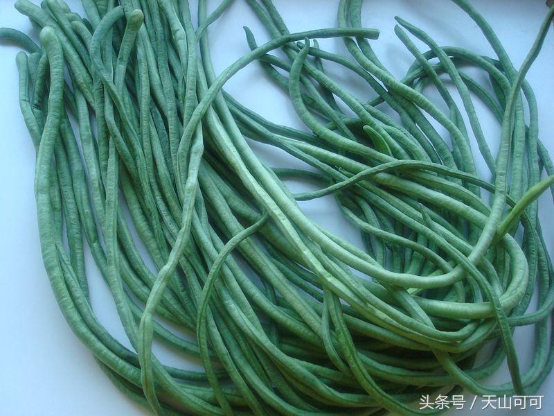 酸豆角腌好后怎么保存,腌酸豆角正宗做法可以保存多久