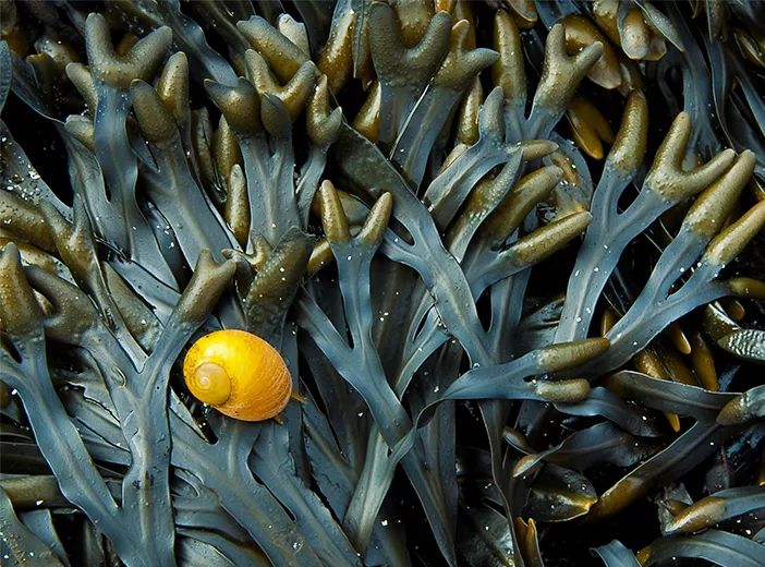 吸收快补水喷雾,夏天清爽型身体乳持久留香72小时