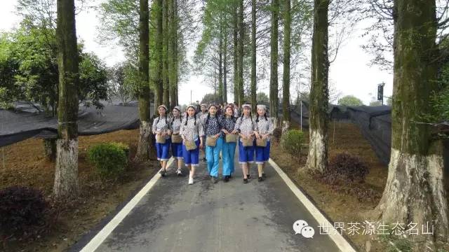 如何用党建引领带动富民兴村,村党建引领促增收