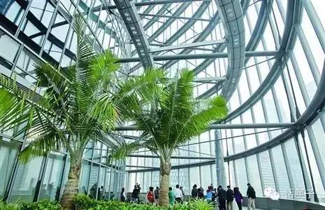 上海中心大厦127层怎么有632米,上海中心大厦632米127层内部