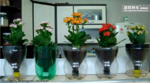 变废为宝自制栽培绿植器皿,塑料瓶创意绿植盆栽旧物利用