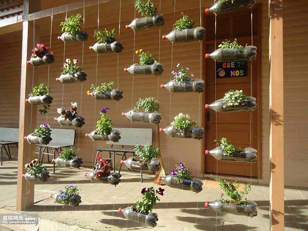 变废为宝自制栽培绿植器皿,塑料瓶创意绿植盆栽旧物利用