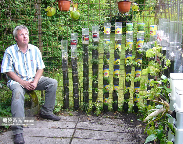变废为宝自制栽培绿植器皿,塑料瓶创意绿植盆栽旧物利用