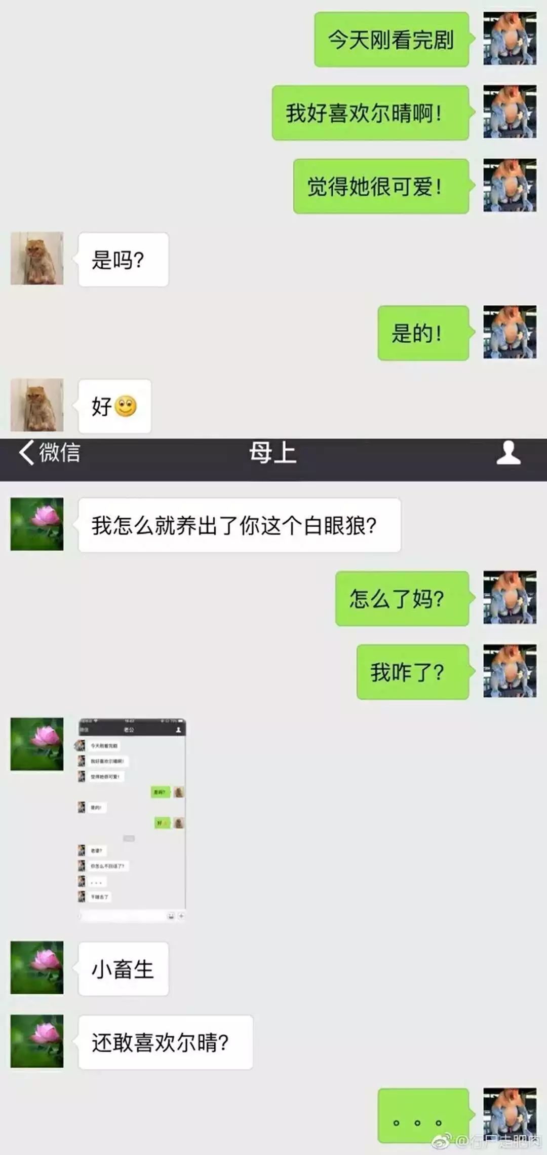 尔晴这样的反派,尔晴是如何黑化的