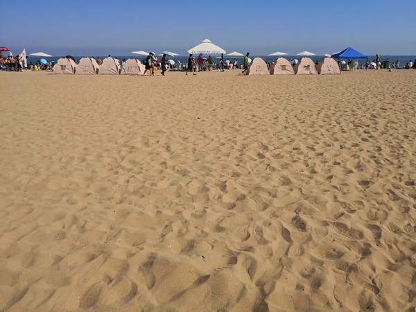 椴呴奔姘撮ズ闈掑矝宕傚北,宕傚北椴呴奔姘撮ズ