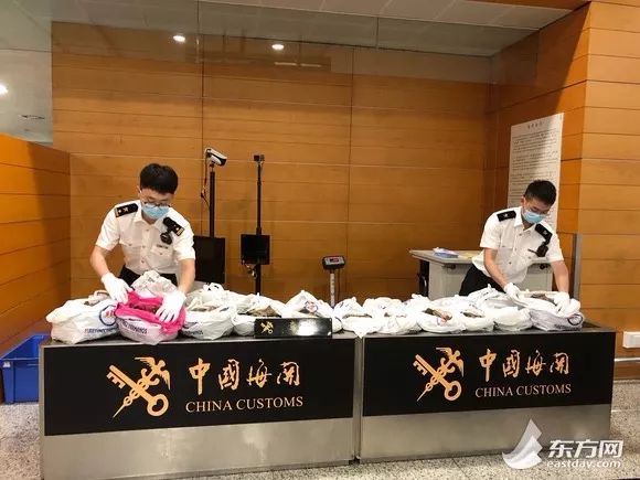 被海关扣留物品怎么查,海关没收数量超标东西去哪了