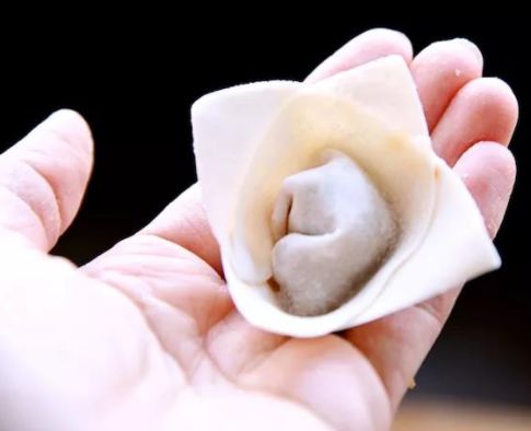 十种最漂亮的云吞包法,云吞包法视频12种包法