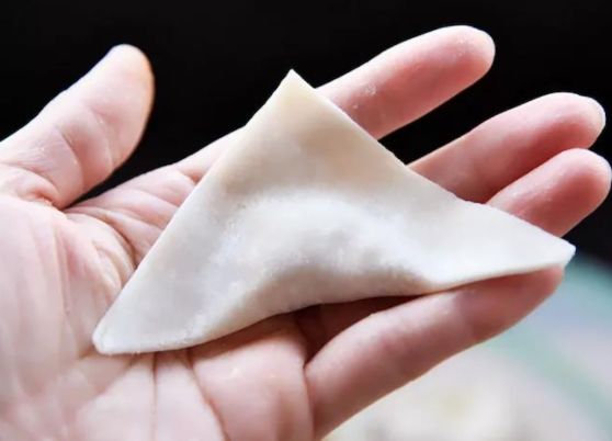 十种最漂亮的云吞包法,云吞包法视频12种包法