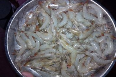 冷冻虾刺破手指怎么处理,海虾被刺破了怎么处理